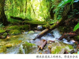 騰沖戶外徒步丨林家鋪，剛好18°C